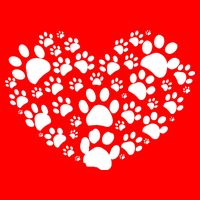 Paws Of Heart Premium T-Shirt