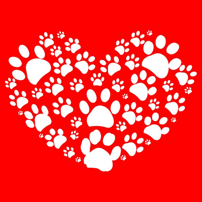 Paws Of Heart Premium T-Shirt