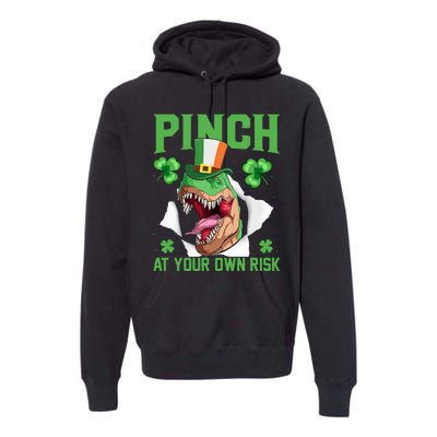 Pinch At Your Own Risk Funny Saying Patricks Day Premium Hoodie