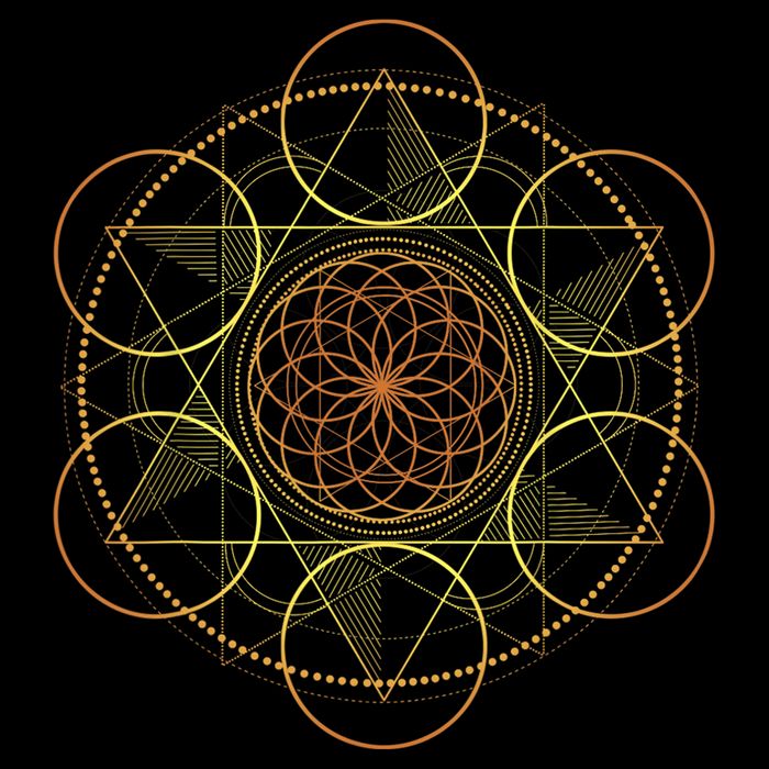 Prana Art Yoga Mandala Sacred Energy Geometry Meditation Doggie Tank