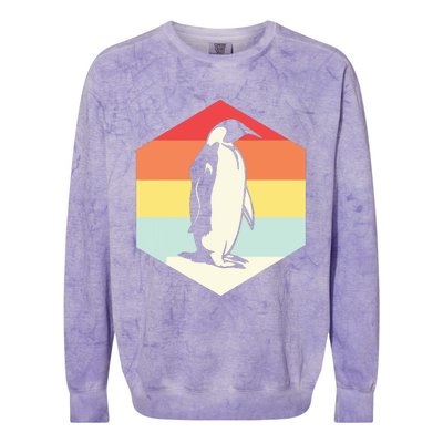 Penguin Animal Zookeeper Gifts Colorblast Crewneck Sweatshirt