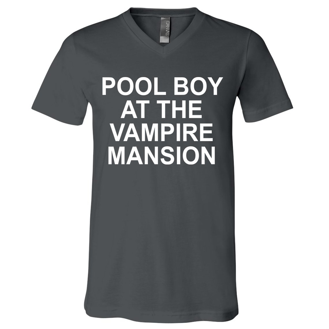 Pool Boy At The Vampire Mansion V-Neck T-Shirt