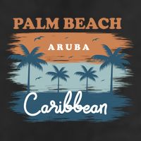 Palm Beach Aruba Adult Drive Performance Visor