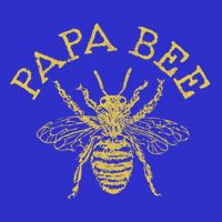 Papa Bee Beekeeper Funny FatherS Day Bee Lover Gift Womens T-Shirt