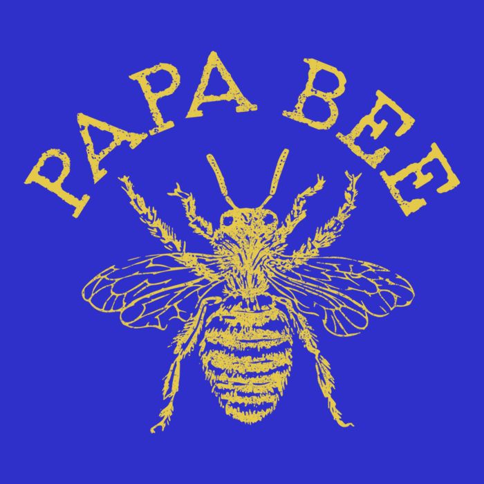 Papa Bee Beekeeper Funny FatherS Day Bee Lover Gift Womens T-Shirt