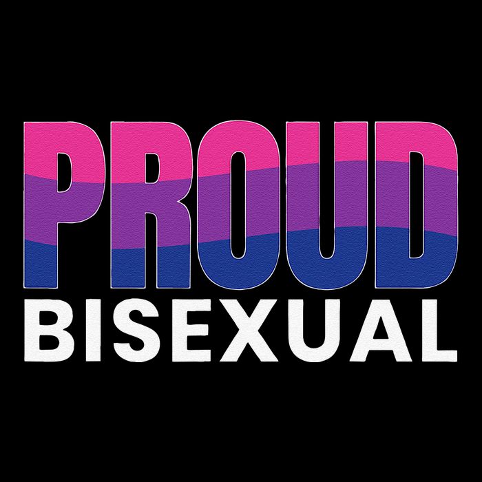 Proud Bisexual Bisexuality LGBT Bisexual Pride Flag Stripe Pom Pom Beanie