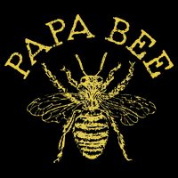 Papa Bee Beekeeper Funny Fathers Day Bee Lover Gift Premium T-Shirt