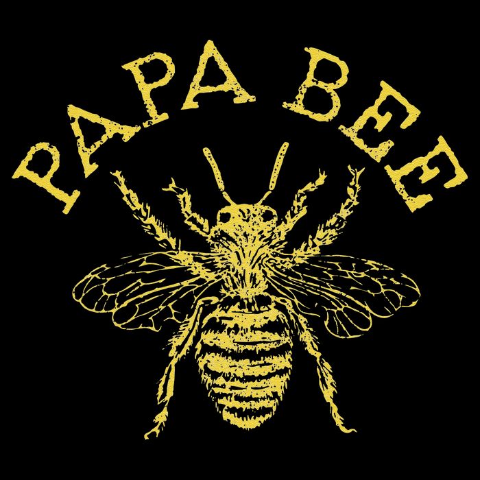 Papa Bee Beekeeper Funny Fathers Day Bee Lover Gift Premium T-Shirt