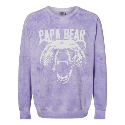 Papa Bear Best Dad Fathers Day Father Pop Vintage Gifts Colorblast Crewneck Sweatshirt