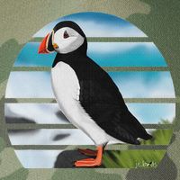 Puffin Bird Birder Ornithologist Biologist Birdwatcher Legacy Tie Dye Trucker Hat