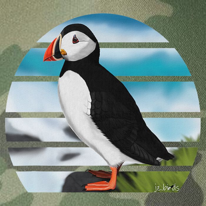 Puffin Bird Birder Ornithologist Biologist Birdwatcher Legacy Tie Dye Trucker Hat