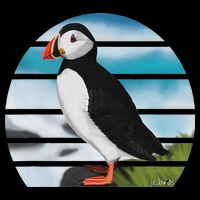 Puffin Bird Birder Ornithologist Biologist Birdwatcher Toddler T-Shirt