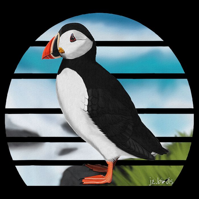 Puffin Bird Birder Ornithologist Biologist Birdwatcher Toddler T-Shirt