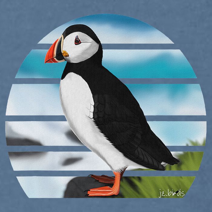 Puffin Bird Birder Ornithologist Biologist Birdwatcher Garment-Dyed Sweatshirt