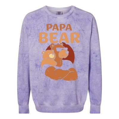 Papa Bear Bears Animal Pun Lover Dad Father Daddy Father's Colorblast Crewneck Sweatshirt