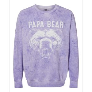 Papa Bear Best Idea Fathers Day Funny Bear Gifts Colorblast Crewneck Sweatshirt