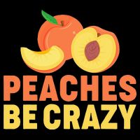 Peaches Be Crazy Funny Peach Pun Fruit Georgia Iced Tea 16 in Basic Backpack