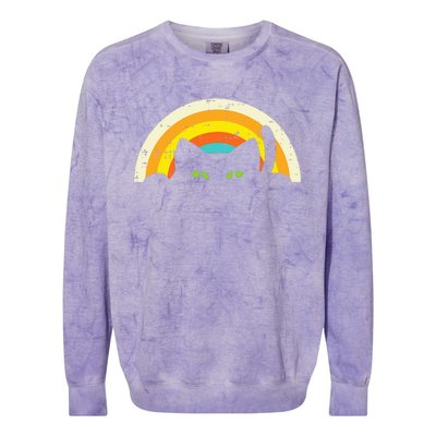 Peeping Black Cat Rainbow Vintage Halloween Colorblast Crewneck Sweatshirt