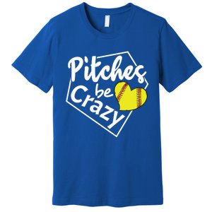 Pitches Be Crazy Softball Player Funny Funny Gift Premium T-Shirt