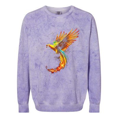 Parrot Bird Colorful Plume Feathers Birdwatching Gift Cute Gift Colorblast Crewneck Sweatshirt