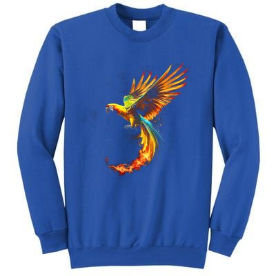 Parrot Bird Colorful Plume Feathers Birdwatching Gift Cute Gift Sweatshirt