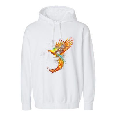 Parrot Bird Colorful Plume Feathers Birdwatching Gift Cute Gift Garment-Dyed Fleece Hoodie