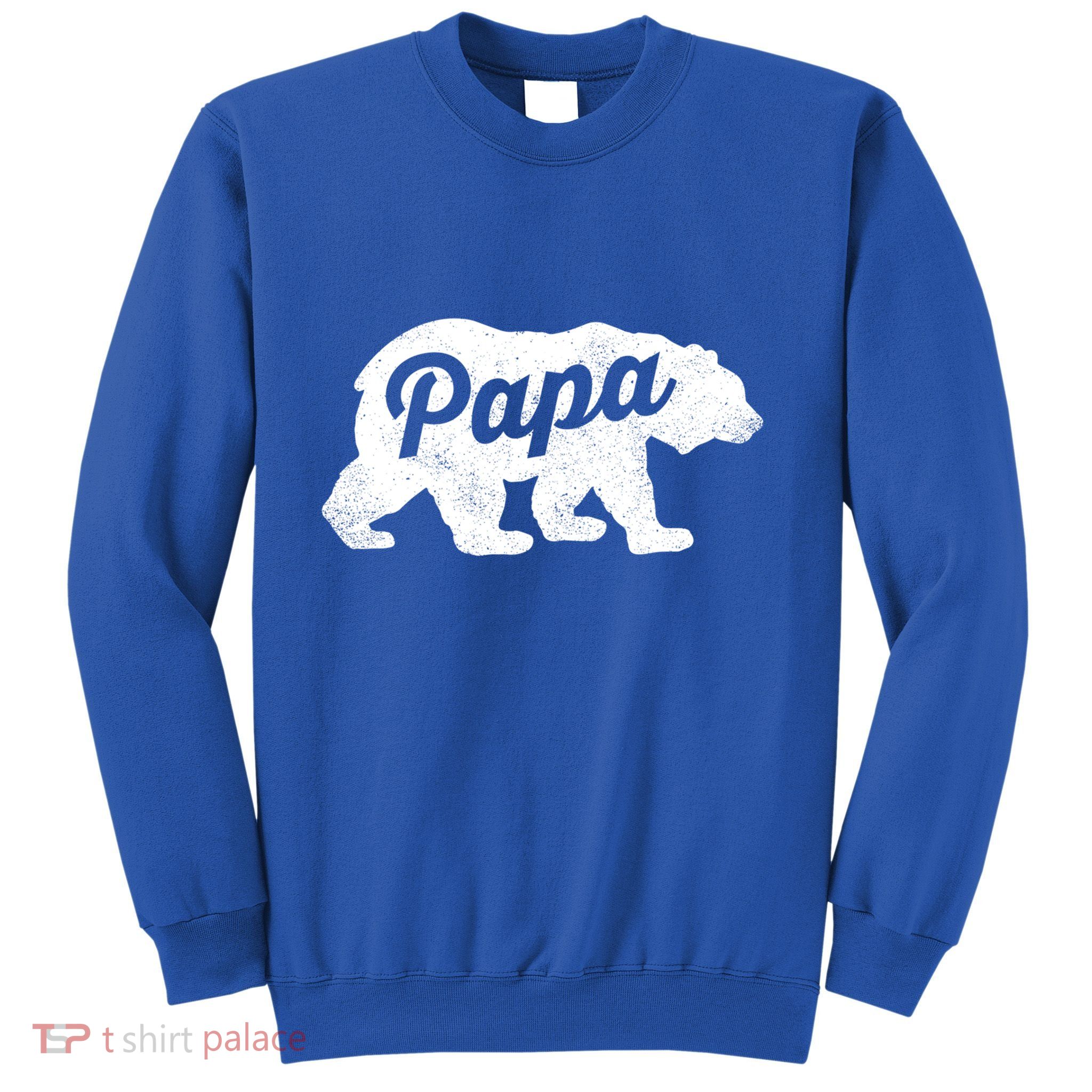 Papa Bear Cute Fathers Day Top Gift Sweatshirt