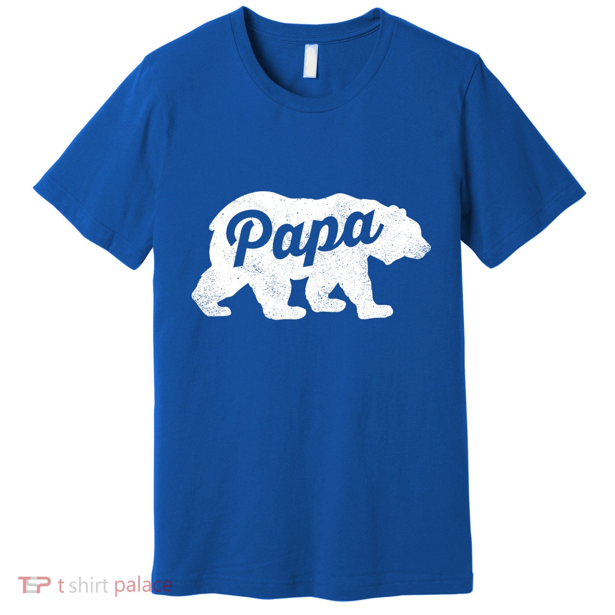 Papa Bear Cute Fathers Day Top Gift Premium T-Shirt