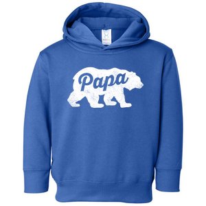 Papa Bear Cute Fathers Day Top Gift Toddler Hoodie