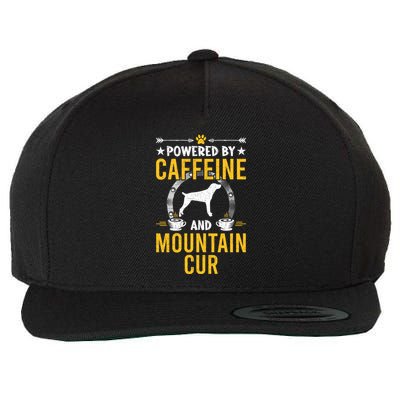 Powered By Caffeine And Mountain Cur Dog Lovers Long Sleeve Wool Snapback Cap