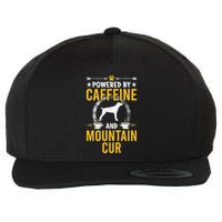 Powered By Caffeine And Mountain Cur Dog Lovers Long Sleeve Wool Snapback Cap