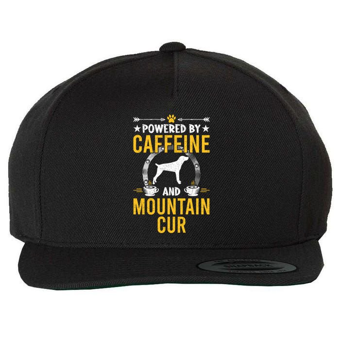 Powered By Caffeine And Mountain Cur Dog Lovers Long Sleeve Wool Snapback Cap
