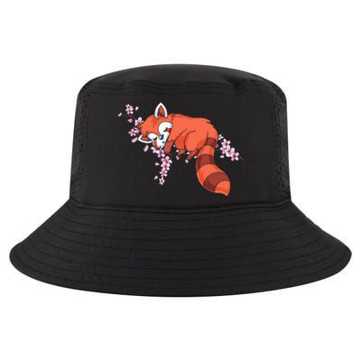 Panda Bear Cherry Blossom Animal Zoo Keeper Gift Red Panda Cool Comfort Performance Bucket Hat