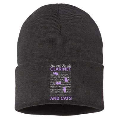 Powered By Clarinet And Cats Kitty Lover Musician Sustainable Knit Beanie