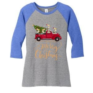 Pelicans Bird Driving Christmas Tree Truck Pelican Christmas Gift Women's Tri-Blend 3/4-Sleeve Raglan Shirt