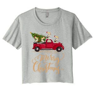 Pelicans Bird Driving Christmas Tree Truck Pelican Christmas Gift Women's Crop Top Tee