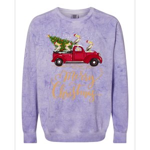 Pelicans Bird Driving Christmas Tree Truck Pelican Christmas Gift Colorblast Crewneck Sweatshirt