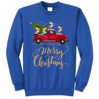 Pelicans Bird Driving Christmas Tree Truck Pelican Christmas Gift Sweatshirt