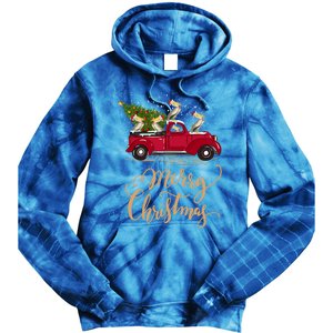 Pelicans Bird Driving Christmas Tree Truck Pelican Christmas Gift Tie Dye Hoodie