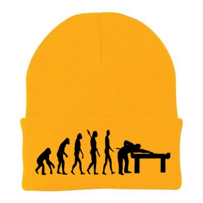 Pool Billiard Evolution Snooker Player Table 8 Ball Cues Gift Knit Cap Winter Beanie