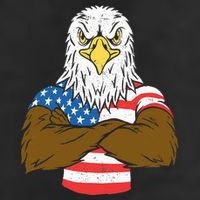Patriotic Bald Eagle Usa American Flag Adult Drive Performance Visor