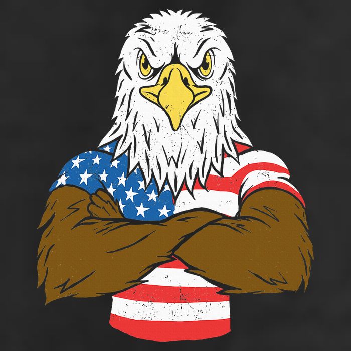 Patriotic Bald Eagle Usa American Flag Adult Drive Performance Visor