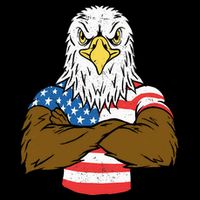 Patriotic Bald Eagle Usa American Flag 16 in Basic Backpack