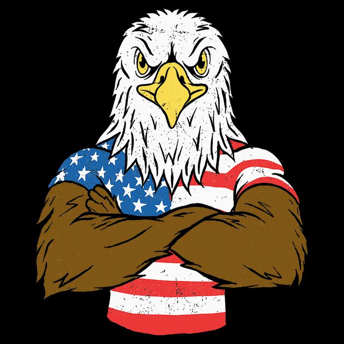 Patriotic Bald Eagle Usa American Flag 16 in Basic Backpack