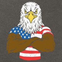 Patriotic Bald Eagle Usa American Flag Cotton Canvas Backpack
