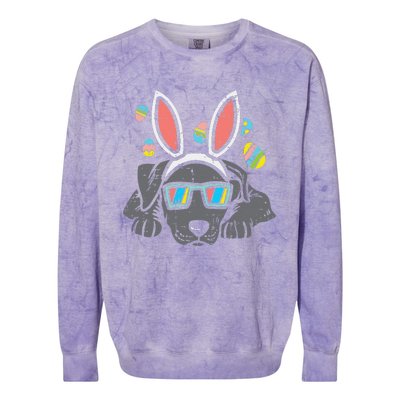 Pitbull Bunny Ears Glasses Easter Eggs Cute Dog Owner Lover Colorblast Crewneck Sweatshirt