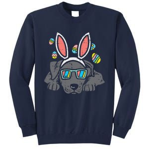 Pitbull Bunny Ears Glasses Easter Eggs Cute Dog Owner Lover Tall Sweatshirt