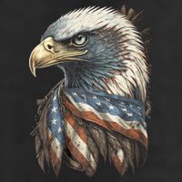 Patriotic Bald Eagle 4th Of July Usa American Flag 7 Panel Mesh Trucker Snapback Hat