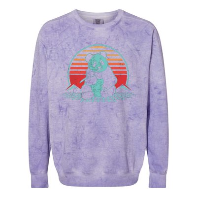 Panda Bear Eating Bamboo Retro Vintage 80 Style Colorblast Crewneck Sweatshirt