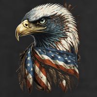 Patriotic Bald Eagle 4th Of July USA American Flag Adult Drive Performance Visor